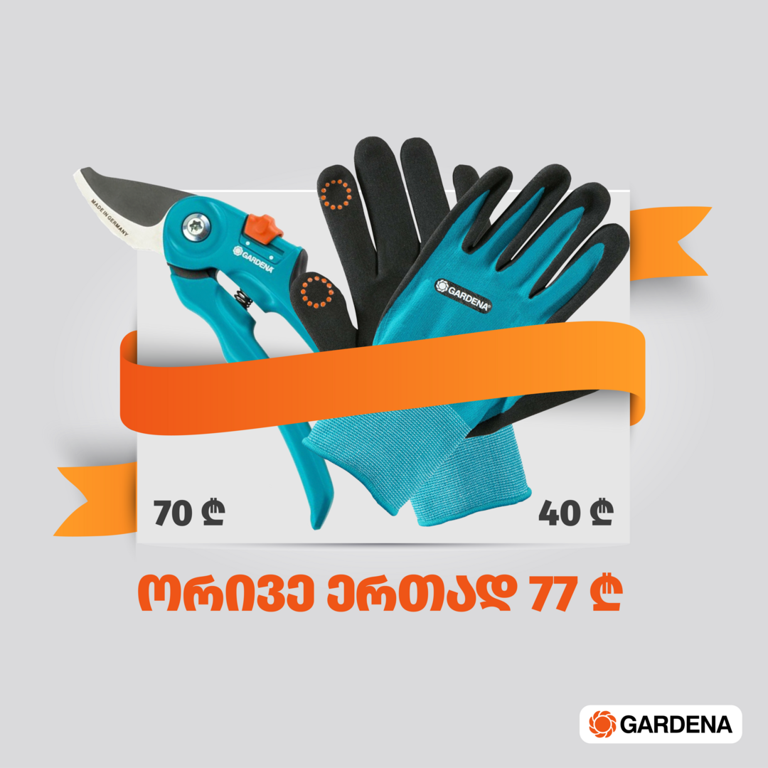Gloves + Secateur